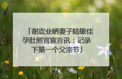 谢震业晒妻子陆敏佳孕肚照官宣喜讯：记录下第一个父亲节