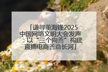 谦寻董海锋2025中国网络文明大会发声：以“三个向善”构建直播电商善意长河