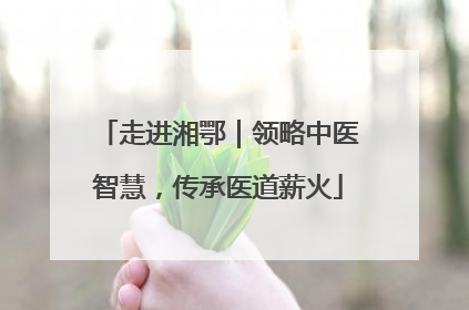 走进湘鄂｜领略中医智慧，传承医道薪火