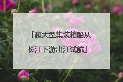 超大型集装箱船从长江下游出江试航