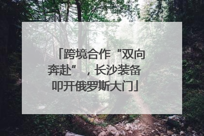 跨境合作“双向奔赴”，长沙装备叩开俄罗斯大门