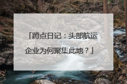 蹲点日记：头部航运企业为何聚集此地？