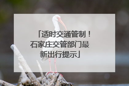适时交通管制！石家庄交管部门最新出行提示