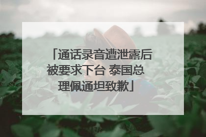 通话录音遭泄露后被要求下台 泰国总理佩通坦致歉