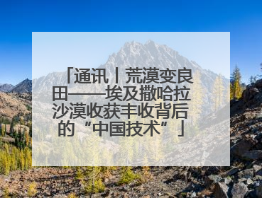 通讯丨荒漠变良田——埃及撒哈拉沙漠收获丰收背后的“中国技术”