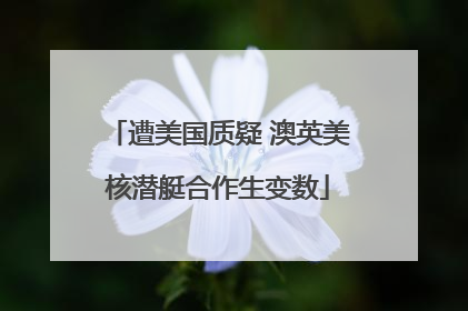 遭美国质疑 澳英美核潜艇合作生变数