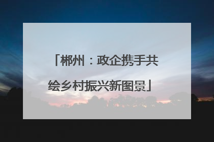 郴州：政企携手共绘乡村振兴新图景