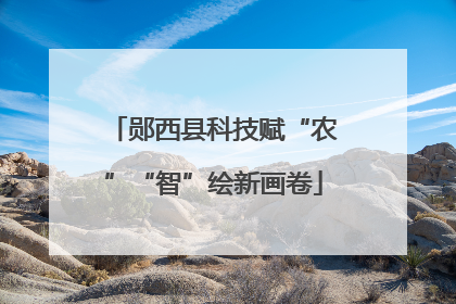 郧西县科技赋“农”“智”绘新画卷