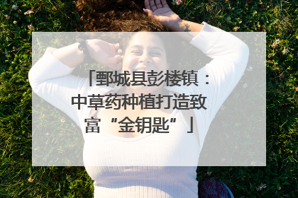 鄄城县彭楼镇：中草药种植打造致富“金钥匙”