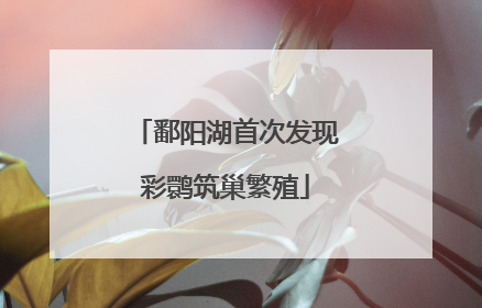 鄱阳湖首次发现彩鹮筑巢繁殖