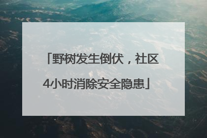 野树发生倒伏，社区4小时消除安全隐患