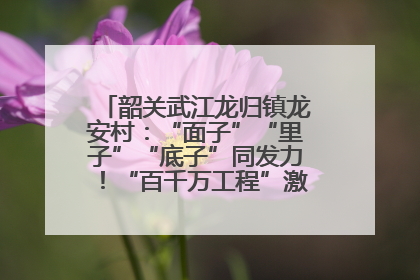 韶关武江龙归镇龙安村：“面子”“里子”“底子”同发力！“百千万工程”激活乡村新动能