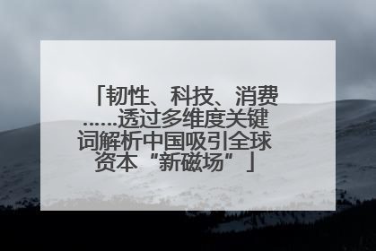 韧性、科技、消费……透过多维度关键词解析中国吸引全球资本“新磁场”