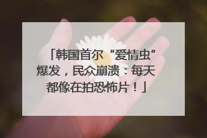 韩国首尔“爱情虫”爆发，民众崩溃：每天都像在拍恐怖片！