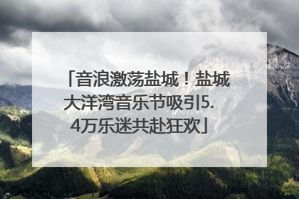 音浪激荡盐城！盐城大洋湾音乐节吸引5.4万乐迷共赴狂欢