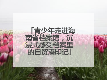 青少年走进海南省档案馆，沉浸式感受档案里的自贸港印记