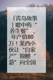 青岛故事｜喂中药“养生餐”，年产值80万！莱西小伙让“自家产”锦鲤“游”向全国