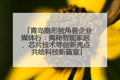 青岛隐形独角兽企业媒体行：揭秘智能家居、芯片技术等创新亮点 共绘科技新篇章