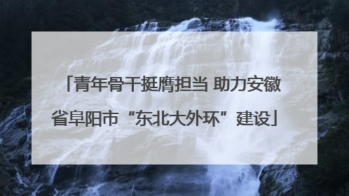 青年骨干挺膺担当 助力安徽省阜阳市“东北大外环”建设