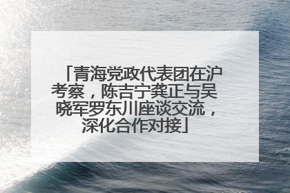 青海党政代表团在沪考察，陈吉宁龚正与吴晓军罗东川座谈交流，深化合作对接