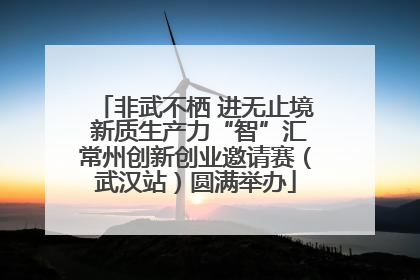 非武不栖 进无止境 新质生产力“智”汇常州创新创业邀请赛（武汉站）圆满举办
