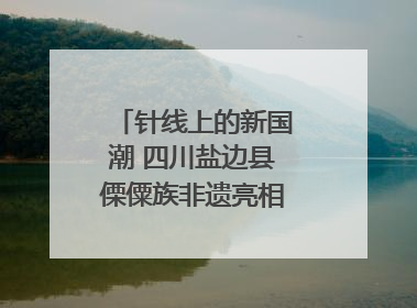 针线上的新国潮 四川盐边县傈僳族非遗亮相西博会｜图集