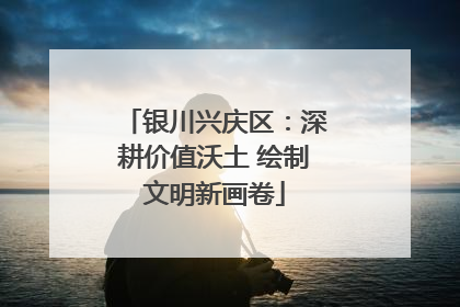 银川兴庆区：深耕价值沃土 绘制文明新画卷