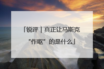 锐评｜真正让马斯克“作呕”的是什么