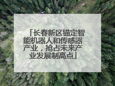 长春新区锚定智能机器人和传感器产业，抢占未来产业发展制高点