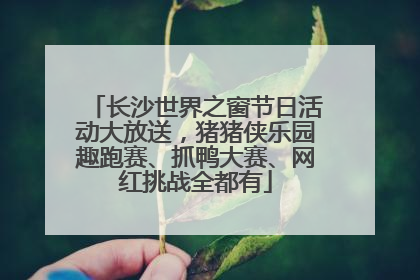 长沙世界之窗节日活动大放送，猪猪侠乐园趣跑赛、抓鸭大赛、网红挑战全都有