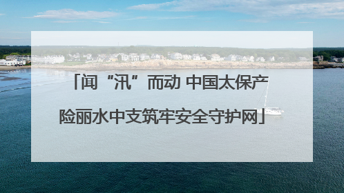 闻“汛”而动 中国太保产险丽水中支筑牢安全守护网