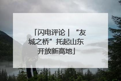 闪电评论｜“友城之桥”托起山东开放新高地