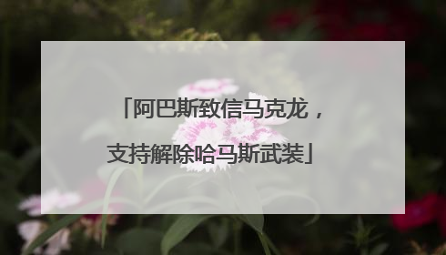 阿巴斯致信马克龙，支持解除哈马斯武装