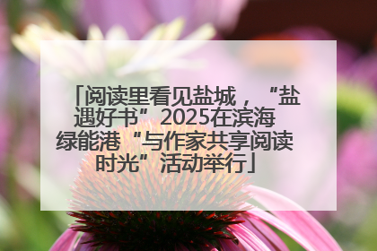 阅读里看见盐城，“盐遇好书”2025在滨海绿能港“与作家共享阅读时光”活动举行
