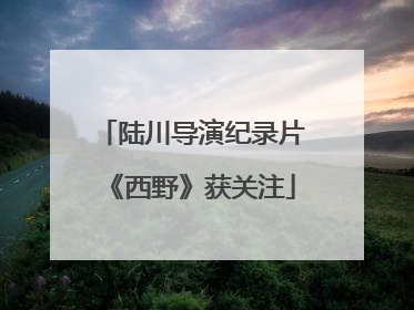 陆川导演纪录片《西野》获关注