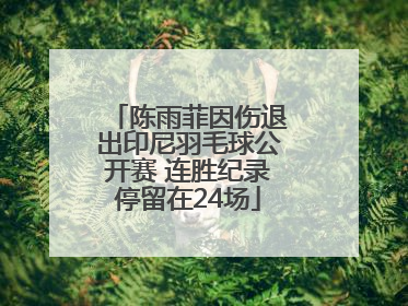 陈雨菲因伤退出印尼羽毛球公开赛 连胜纪录停留在24场