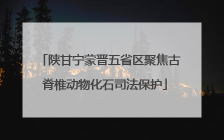陕甘宁蒙晋五省区聚焦古脊椎动物化石司法保护