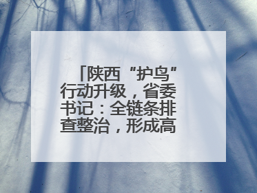 陕西“护鸟”行动升级，省委书记：全链条排查整治，形成高压震慑态势