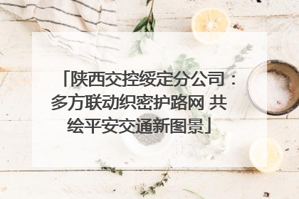 陕西交控绥定分公司：多方联动织密护路网 共绘平安交通新图景