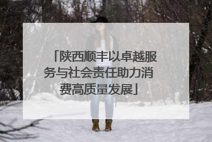 陕西顺丰以卓越服务与社会责任助力消费高质量发展