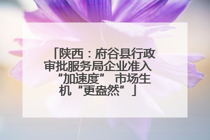 陕西：府谷县行政审批服务局企业准入“加速度” 市场生机“更盎然”