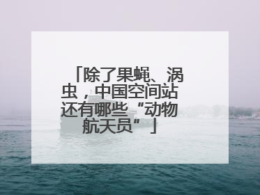 除了果蝇、涡虫，中国空间站还有哪些“动物航天员”
