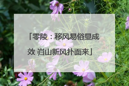 零陵：移风易俗显成效 岿山新风扑面来