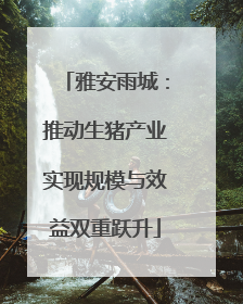 雅安雨城：推动生猪产业实现规模与效益双重跃升