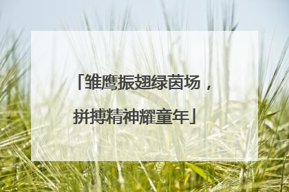 雏鹰振翅绿茵场，拼搏精神耀童年