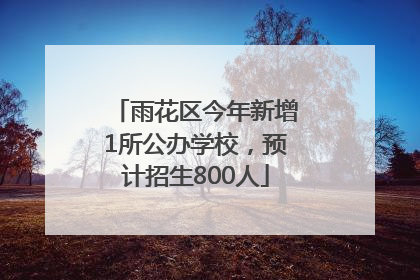 雨花区今年新增1所公办学校，预计招生800人