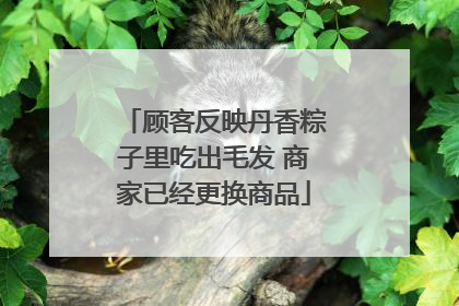 顾客反映丹香粽子里吃出毛发 商家已经更换商品