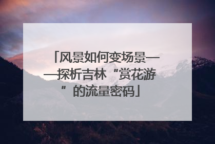 风景如何变场景——探析吉林“赏花游”的流量密码