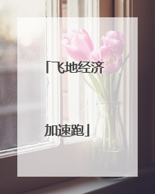 飞地经济加速跑