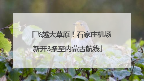 飞越大草原！石家庄机场新开3条至内蒙古航线